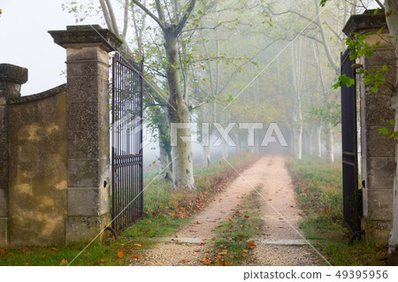 Open iron gate on foggy path Open iron gate on foggy path 49395956