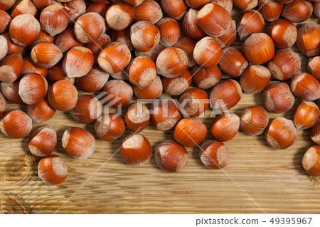 Unpeeled hazelnut on natural wooden background, nobody Unpeeled hazelnut on natural wooden background, nobody 49395967