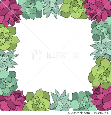Vector Succulents floral botanical flower. Engraved ink art on white background. Frame border 49396041