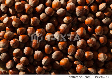 Hazelnuts as background closeup Hazelnuts as background closeup 49396247