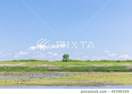 春季1號調節池塘的Watarase水庫 49396509