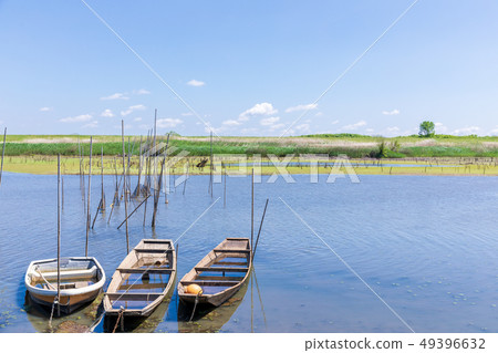 Watarase Reservoir in Spring No.1 Regulating Pond 49396632