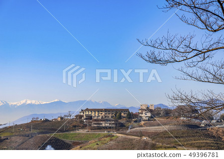 [Koshu City, Yamanashi Prefecture] Katsunuma Grape Hill and Southern Alps 49396781