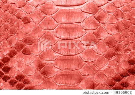 Snake leather in coral color toned Snake leather in coral color toned 49396908