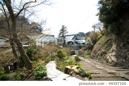 Kamakura Kenchoji Temple場地 Kamakura Kenchoji Temple場地 49397108