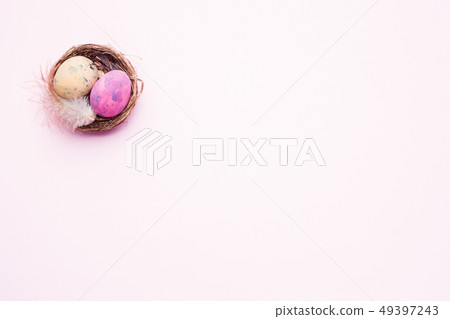 Colorful easter egg in the nest Colorful easter egg in the nest 49397243