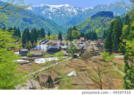 [富山]新鮮的綠色五ka山愛倉合掌村 49397416