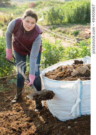 Woman spreading biodegradable fertilizer Woman spreading biodegradable fertilizer 49400667