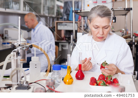Woman biochemist injecting chemicals into strawberry Woman biochemist injecting chemicals into strawberry 49401753