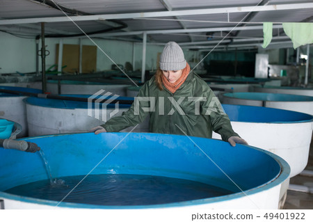 Woman watching fish in pool on farm 49401922