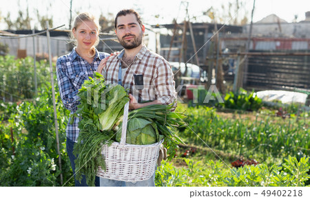 Man and woman professional gardeners holding harvest of vegetables Man and woman professional gardeners holding harvest of vegetables 49402218
