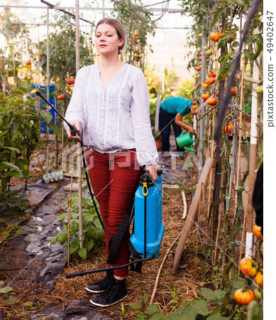 Woman gardener working with spraying apparatus in greenhouse, boy on background 49402647