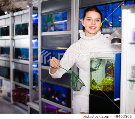 Girl with net and water container is going to catch juvenile fish from aquarium Girl with net and water container is going to catch juvenile fish from aquarium 49403566