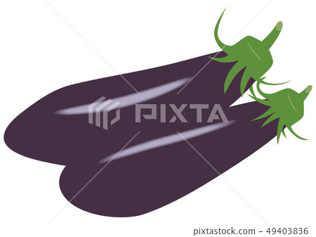 Vector illustration vegetables health beauty agriculture food ingredients recipe gourmet eggplant eggplant eggplant 49403836