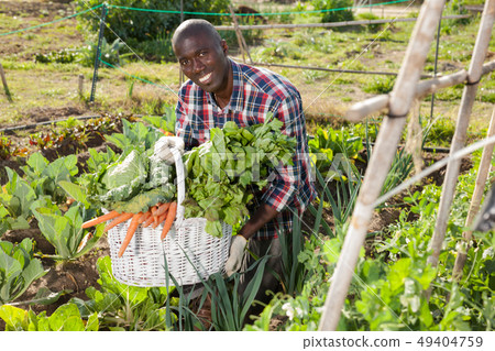 African gardener with harvest 49404759