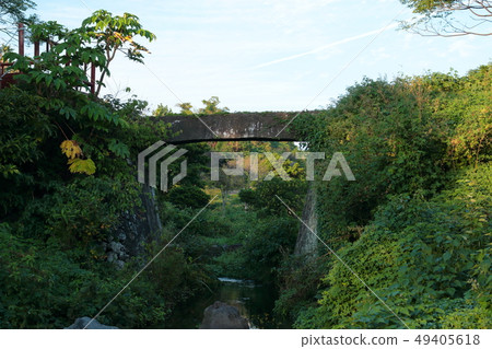 For example, ecological parks, parks, walks, 49405618