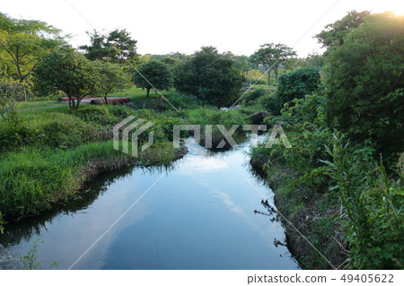 For example, ecological parks, parks, walks, 49405622