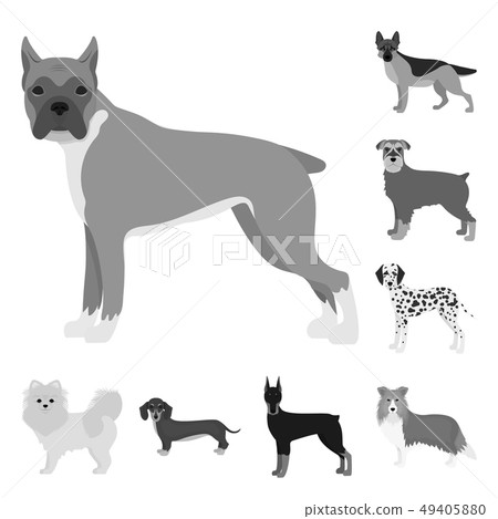 Isolated object of  cute  and  sign. Collection of  cute  and  stock vector illustration. 49405880