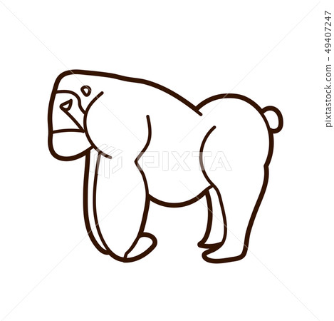 Gorilla, King Kong standing graphic vector 49407247