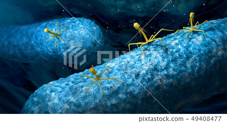 Bacteriophage or phage virus Bacteriophage or phage virus 49408477