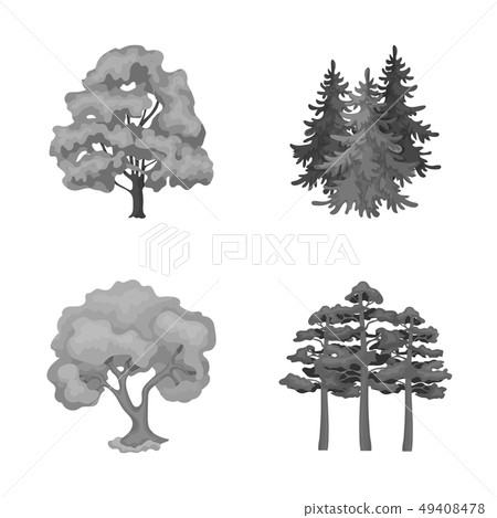 Vector design of tree  and forest sign. Set of tree  and green vector icon for stock. 49408478