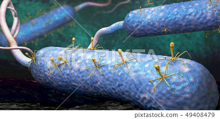 Bacteriophage or phage virus Bacteriophage or phage virus 49408479