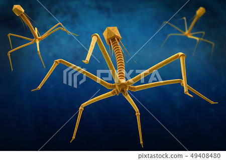 Bacteriophage or phage virus Bacteriophage or phage virus 49408480