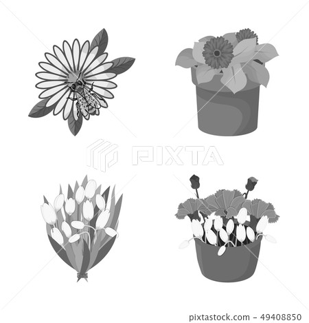 Vector illustration of spring and wreath symbol. Set of spring and blossom stock symbol for web. 49408850