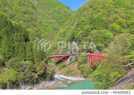 [Toyama Prefecture] Deep green Kurobe gorge Shinyamahiko Bridge 49409061