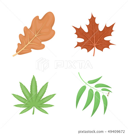 Isolated object of vegan and organic sign. Collection of vegan and fresh vector icon for stock. Isolated object of vegan and organic sign. Collection of vegan and fresh vector icon for stock. 49409672