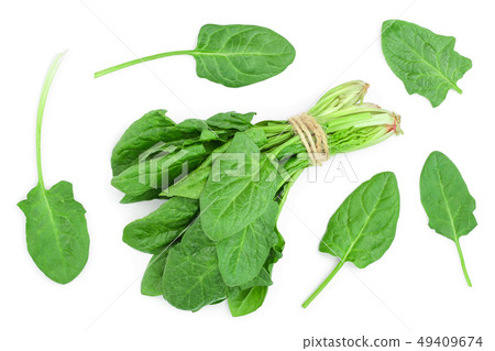 fresh spinach isolated on white background. Top view. Flat lay 49409674