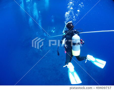 水下攝影潛水潛水員 49409737
