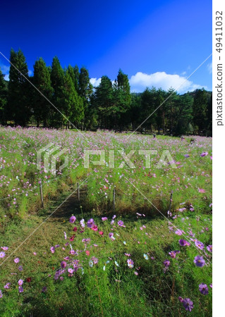 Tonono Cosmos Village / Toyono-gun, Toyono-gun, Osaka 49411032