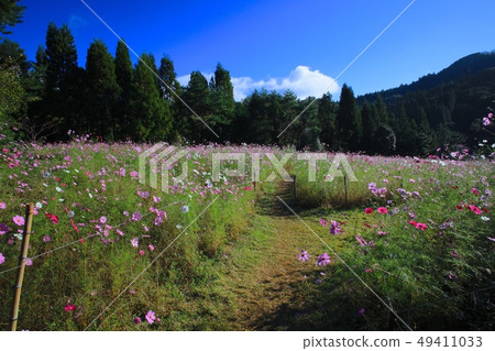 Tonono Cosmos Village /豐田郡豐之郡，大阪 49411033