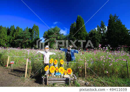 Tonono Cosmos Village / Toyono-gun, Toyono-gun, Osaka 49411039