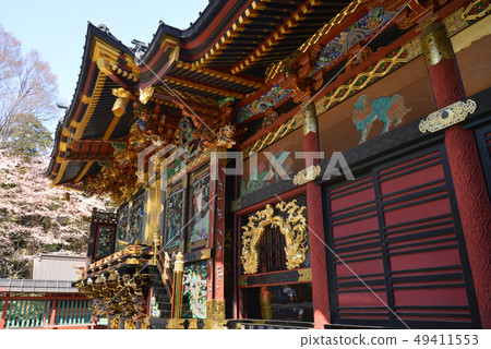 Cherry blossoms blooming Tsunuma Seitenzan Cherry blossoms blooming Tsunuma Seitenzan 49411553
