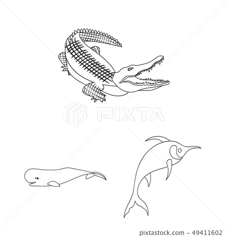 Vector design of water and drop icon. Set of water and splash stock vector illustration. Vector design of water and drop icon. Set of water and splash stock vector illustration. 49411602