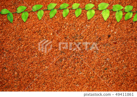 green leaves of Mexican daisy nature border dark green leaves of Mexican daisy nature border dark 49411861