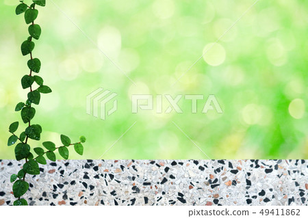green leaves of Mexican daisy nature border and 49411862