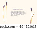 Pressed and dried summer spring blue flower 49412008