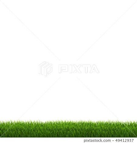 Green Grass Border Green Grass Border 49412937