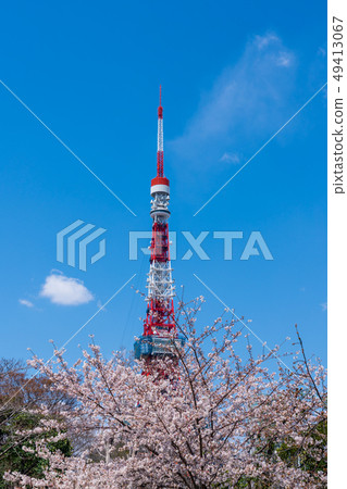 Tokyo Tower Spring 49413067