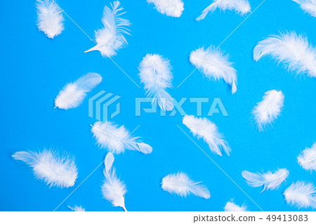 White feathers on a blue background 49413083