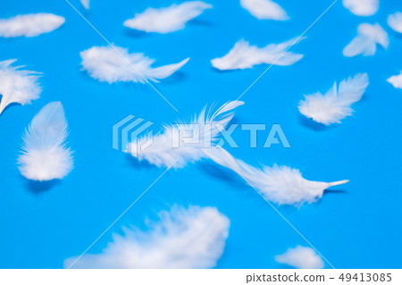 White feathers on a blue background 49413085