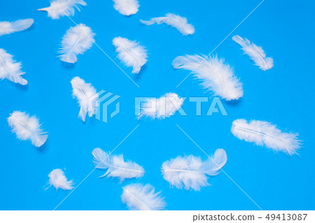 White feathers on a blue background 49413087