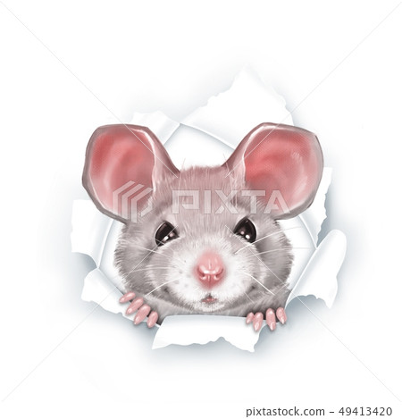 Cute cartoon rat - Stock Illustration [49413420] - PIXTA