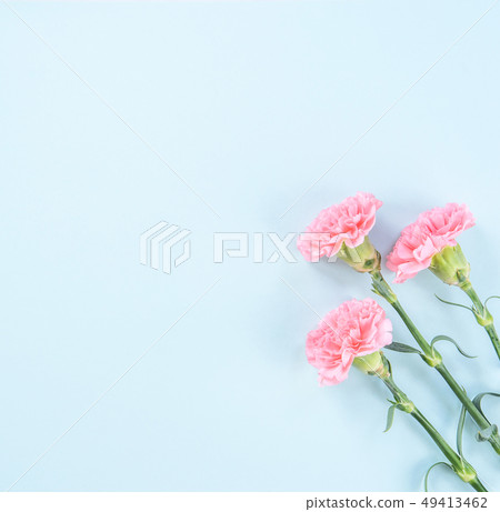 Mother's Day Yasuno Kaoru Sendoku 卡片 graceful carnation top view mother's day Mother's Day Yasuno Kaoru Sendoku 卡片 graceful carnation top view mother's day 49413462