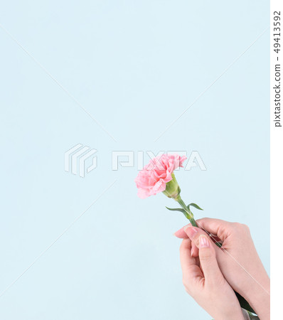 母親節Yasuno Kaoru送花卡片慶祝康乃馨頂視圖母親節 49413592
