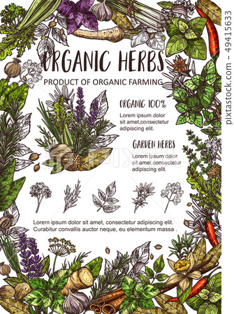 Organic farm spices, garden herbs and seasonings Organic farm spices, garden herbs and seasonings 49415633