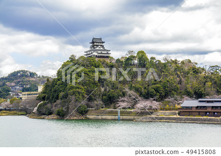 Aichi Prefecture Inuyama Castle Spring 49415808